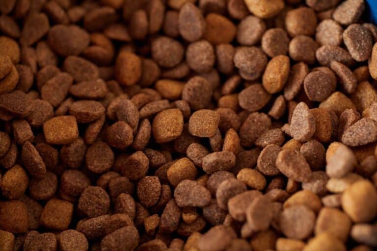 hypoallergenic pet food