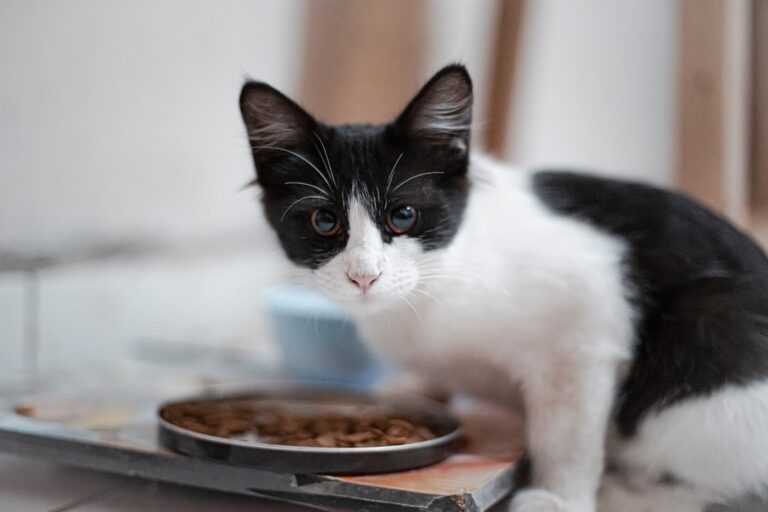 breed specific cat food